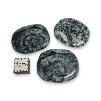 Diorite Orbiculaire - mini pierre plate