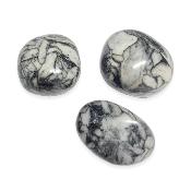 Pinolite - pierre roulée Moyenne Taille (Lot de 250 grammes)