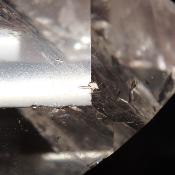 Cristal de Roche Pointe Polie 15910