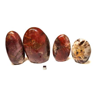 Bois Fossile - Forme libre n°10 ( Lot de 4 pièces )