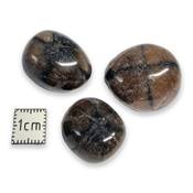 Chiastolite - pierre roulée Qualité A (Lot de 250 grammes)
