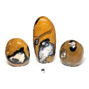 Jaspe jaune - Forme libre n°06 ( Lot de 3 pièces )