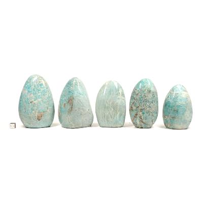 Amazonite - Forme libre n°03 ( Lot de 5 pièces )