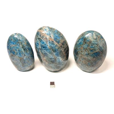 Apatite Bleue - Forme libre n°12 ( Lot de 3 pièces )