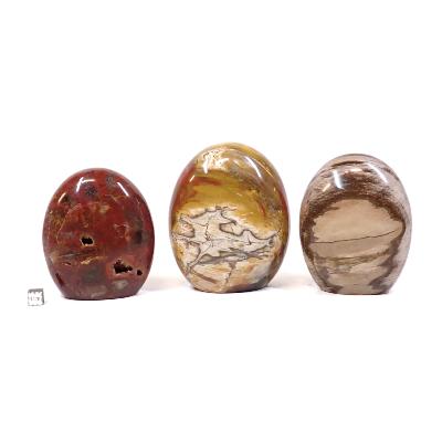 Bois Fossile - Forme libre n°03 (Lot de 3 pièces)