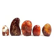 Cornaline - Forme libre n°06 (Lot de 5 pièces)