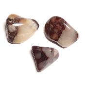 Cataclasite du Botswana - pierre roulée (Lot de 250 grammes)