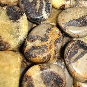 Septaria - mini pierre plate 