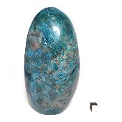 Apatite Bleue - Forme libre n°15554 ( Lot de 1 pièce )
