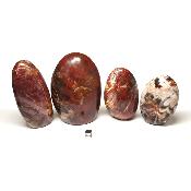 Bois Fossile - Forme libre n°10 ( Lot de 4 pièces )