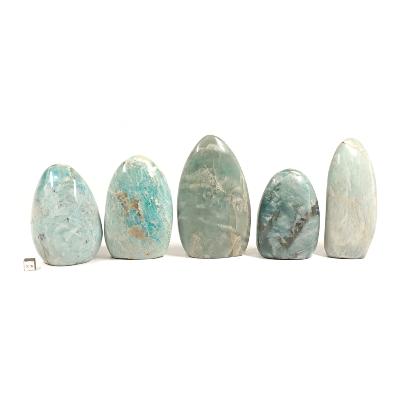 Amazonite - Forme libre n°07 ( Lot de 5 pièces )