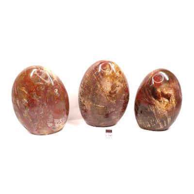 Bois Fossile - Forme libre n°12 (Lot de 3 pièces)