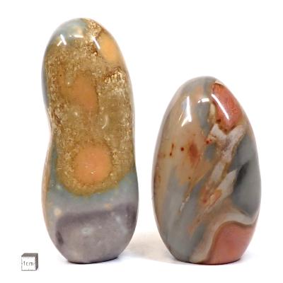 Jaspe Polychrome - Forme libre n°06 ( Lot de 2 pièces )