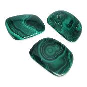 Malachite - mini pierre plate (Lot de 10 pièces)