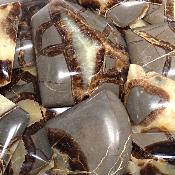 Septaria - plaque (Lot de 5 pièces) 