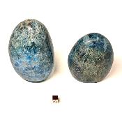 Apatite Bleue - Forme libre n°08 ( Lot de 2 pièces )