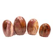 Bois Fossile - Forme libre n°18 (Lot de 4 pièces)