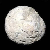 Géodes de Quartz du Maroc - pierre brute (Lot de 1 pièces)  