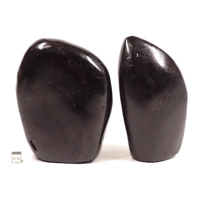 Tourmaline noire - Forme libre n°04 (Lot de 2 pièces)