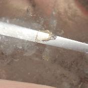 Cristal de Roche Pointe Polie 15908