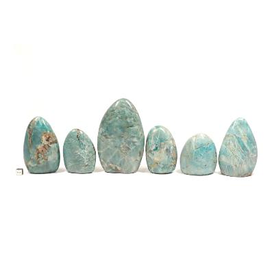 Amazonite - Forme libre n°04 ( Lot de 6 pièces )