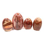 Bois Fossile - Forme libre n°13 (Lot de 4 pièces)