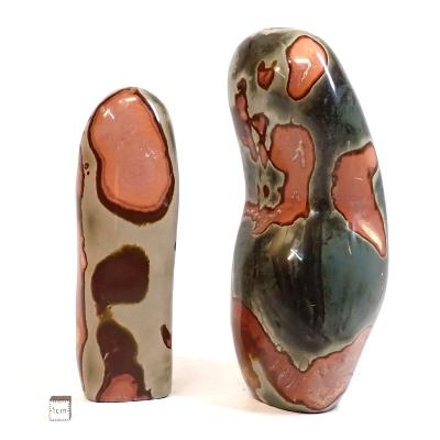 Jaspe Polychrome - Forme libre n°01 ( Lot de 2 pièces )