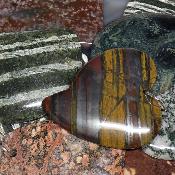 Mixte percé - pendentif coeur et autre (Lot de 10 pièces) 