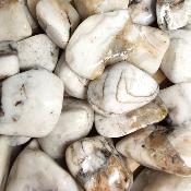 Cataclasite de Namibie - pierre roulée (Lot de 250 grammes)