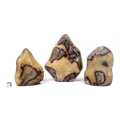 Septaria - Forme libre n°01 (Lot de 3 pièce)