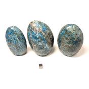 Apatite Bleue - Forme libre n°12 ( Lot de 3 pièces )
