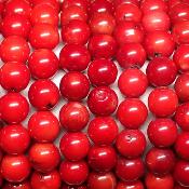 Corail Rouge - Collier Boule 6 mm