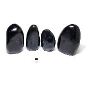 Tourmaline noire - Forme libre n°13 (Lot de 4 pièces)