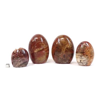 Bois Fossile - Forme libre n°02 (Lot de 4 pièces)