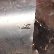 Cristal de Roche Pointe Polie 15949