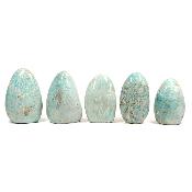Amazonite - Forme libre n°03 ( Lot de 5 pièces )