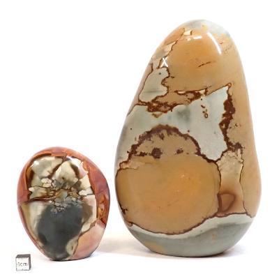 Jaspe Polychrome - Forme libre n°05 ( Lot de 2 pièces )