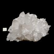 Cristal de roche - Amas n° 05 (Lot de 4 pièces)