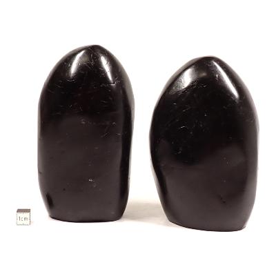 Tourmaline noire - Forme libre n°11 (Lot de 2 pièces)